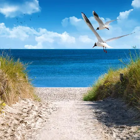 Vital 4 Inklusive Waeschepaket Und Urlaubsschutz